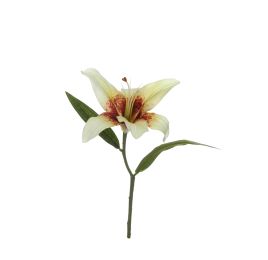 SINGLE TIGERLILY PICK GREEN