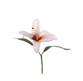 SINGLE TIGERLILY PICK PINK