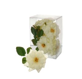 MINI ROSE HEAD X 9 IN PVC GIFTBOX CREAM
