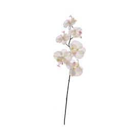 SINGLE ORCHID 57CM CREAM