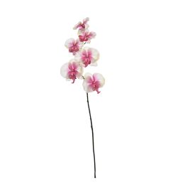 SINGLE ORCHID 57CM CREAM PINK