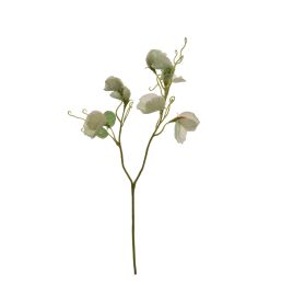 SWEET PEA PICK X 2 45CM GREEN