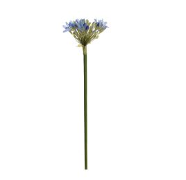 AGAPANTHUS 92CM BLUE