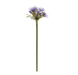 AGAPANTHUS 92CM LAVENDER