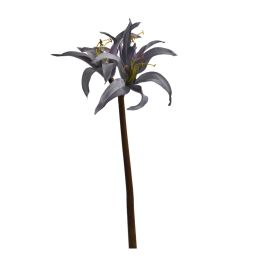 AMARILLUS 50CM BLUE
