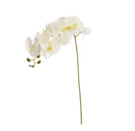 SINGLE ORCHID 107CM CREAM