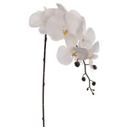 ORCHID W/7 FLOWER 87CM CREAM