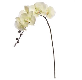 ORCHID W/7 FLOWER 87CM GREEN