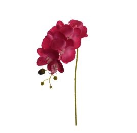 ORCHID W/7 FLS 80CM BEAUTY