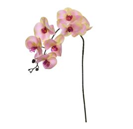 SINGLE LARGE ORCHID 101CM PINK