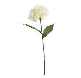 SINGLE HYDRANGEA CREAM
