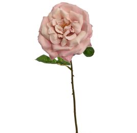 LARGE OPEN ROSE 45CM PEACH