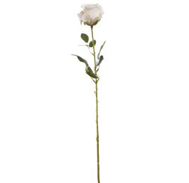 ROSEBUD 63CM CREAM