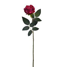 ROSE BUD 69CM BEAUTY