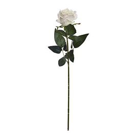 ROSE BUD 69CM CREAM