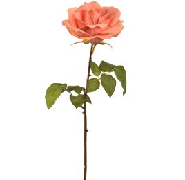 OPEN ROSE 53CM PEACH