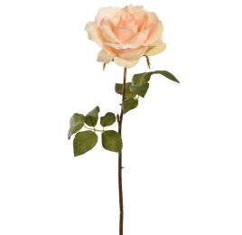 OPEN ROSE 53CM VANILLA