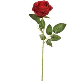 SINGLE ROSE 50CM RED