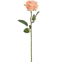 SINGLE ROSE 50CM PEACH