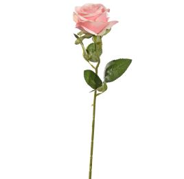 SINGLE ROSE 50CM PINK