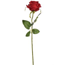 SINGLE ROSE 50CM RED