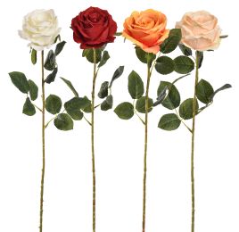 ROSE 70CM ASSORTED