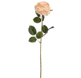 ROSE 70CM PEACH