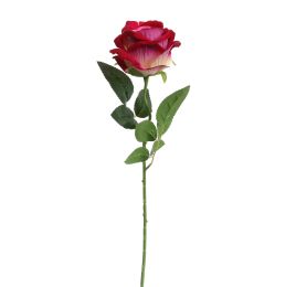VELVET ROSE 50CM BEAUTY