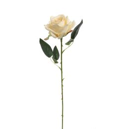 ROSE 50CM VANILLA