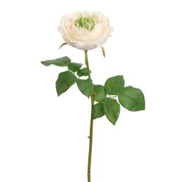 PROVENCE ROSE 52CM CREAM