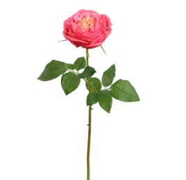 PROVENCE ROSE 52CM PINK