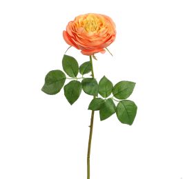 PROVENCE ROSE 52CM SALMON