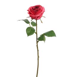 ROSE 45CM BEAUTY
