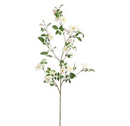 MINI GARDEN ROSE SPRAY 105CM CREAM