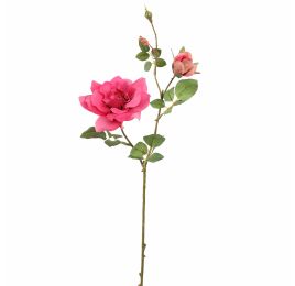 ROSE X2 65CM BEAUTY