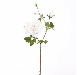 ROSE X2 65CM CREAM