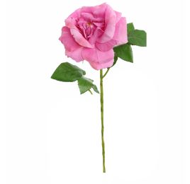 SINGLE ROSE 78CM BEAUTY