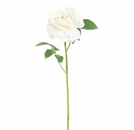 SINGLE ROSE 78CM CREAM
