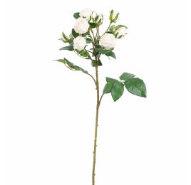 ROSE SPRAY 78CM CREAM