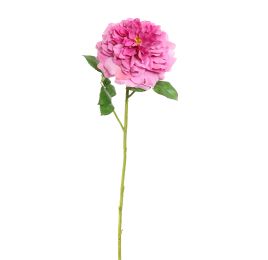 SINGLE ROSE 79CM BEAUTY