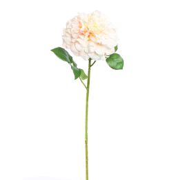 SINGLE ROSE 79CM PEACH