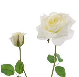40110049-cr_2.jpg