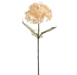 HYDRANGEA 75CM VANILLA