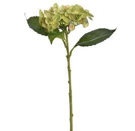 BUDDING HYDRANGEA 45CM GREEN
