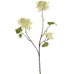 HYDRANGEA SPRAY 70CM GREEN