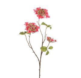 HYDRANGEA BRANCH 70CM BEAUTY
