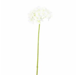 SINGLE HYDRANGE 63CM CREAM