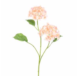 HYDRANGEA X 2 82CM PEACH