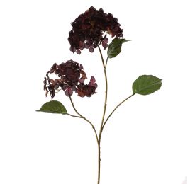 40120034-bu.jpg