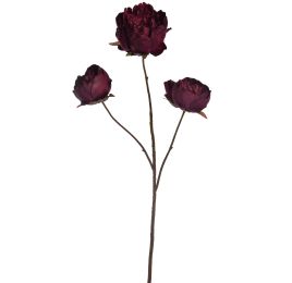 FALL PEONY X3 82CM AUBERGINE